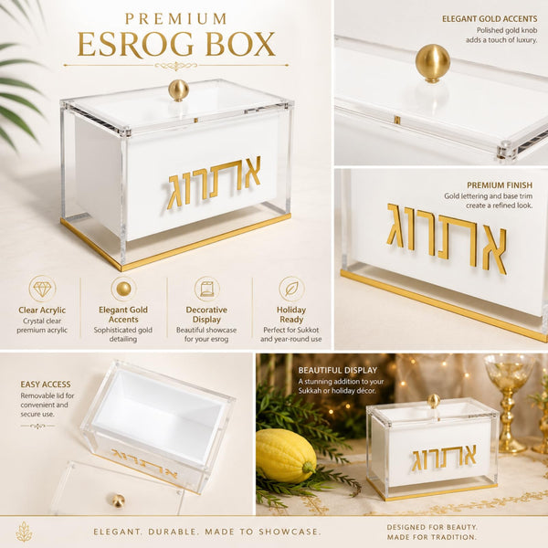 Esrog Box Holder, Clear Acrylic Lid Sukkot Succos Judaica Display Case