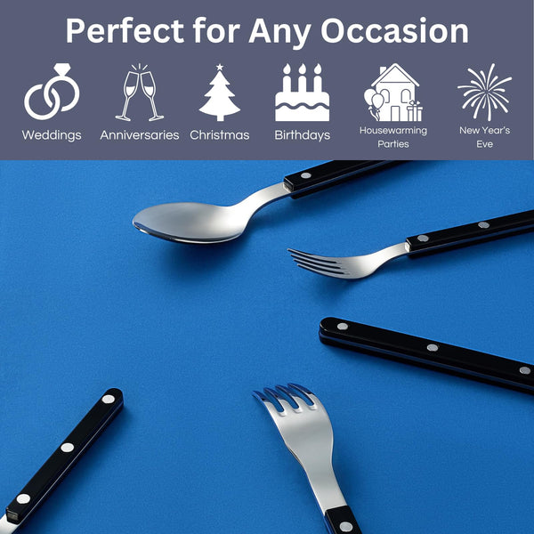 Khen Black Cutlery Set of 20 –18/8 Stainless Steel Flatware