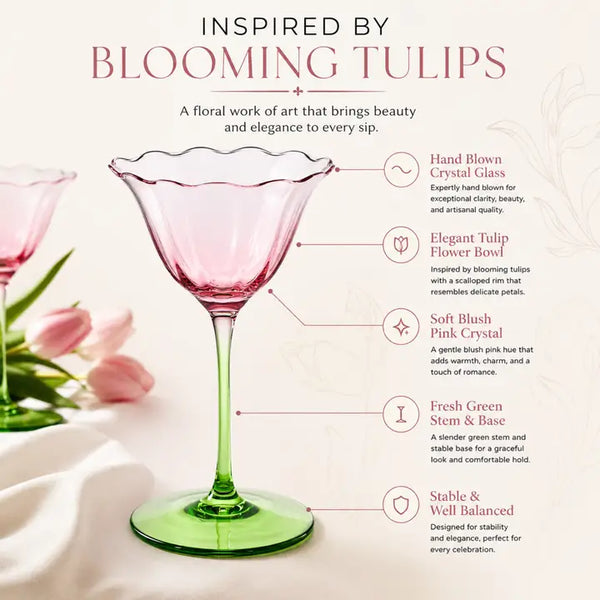Fiore Champagne Coupe Cocktail Glassware, Set of 2
