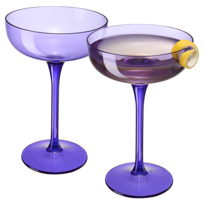 Madrid Acrylic Champagne Coupe Cocktail Glassware, Set of 2