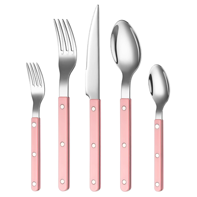 Khen Pink Cutlery Set of 20 –18/8 Stainless Steel Flatware