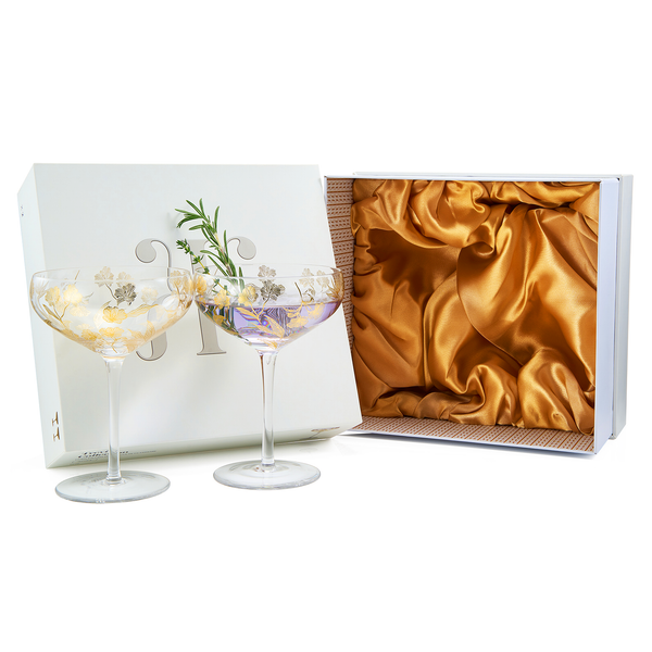 Trevi Champagne Coupe, Cocktail Glassware, Set of 2